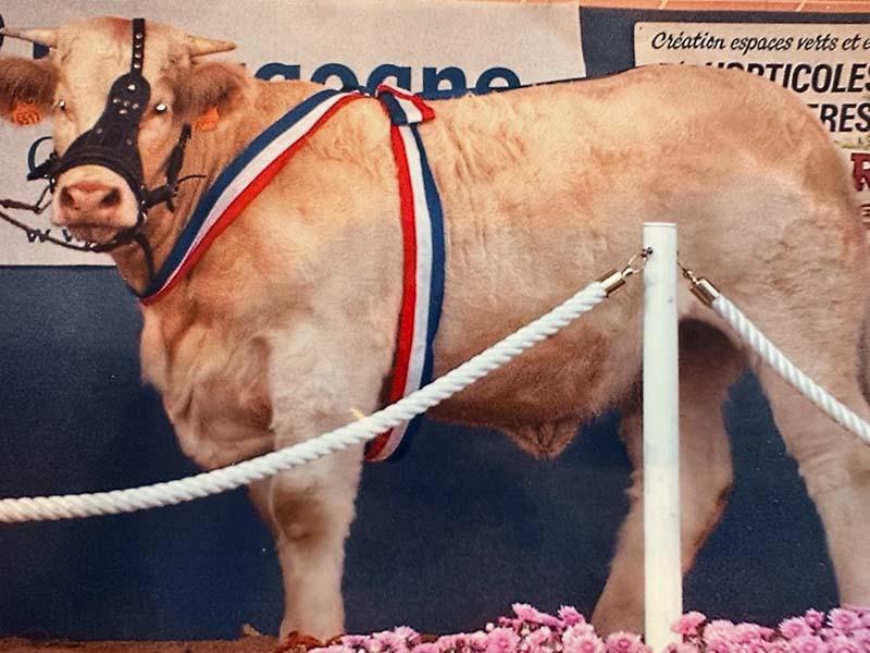 Beaute - Grand prix d'honneur au concours de Gueugnon